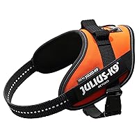 Julius-K9, Pettorina IDC Power