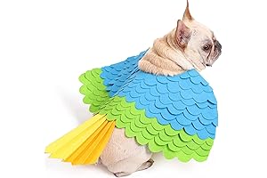 SEIS Halloween Dog Bird Costume: The Ultimate in Pet Style