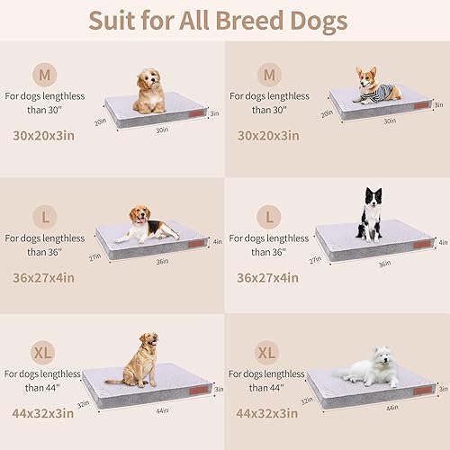Miniatura 3 de Cama ortopédica extragrande para perros con funda extraíble lavable, soporte de espuma para jaula de huevos, parte inferior antideslizante, duradera