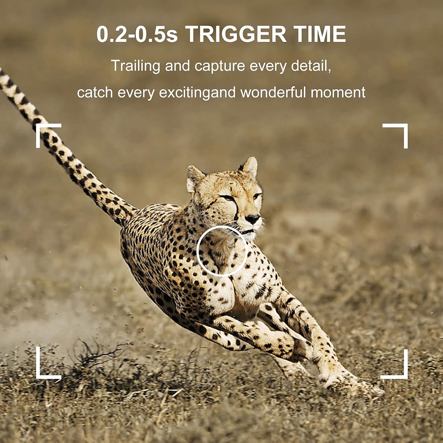 Exсluѕіvе Dіѕсоunt 60% Prісе SESERN Mini Trail Game Camera 20MP 1080P, Night Vision Waterproof Hunting Camera with 120°Wide-Angle Motion Advanced Sensor View 0.2s Trigger Time 2.0” LCD for Wildlife Monitoring