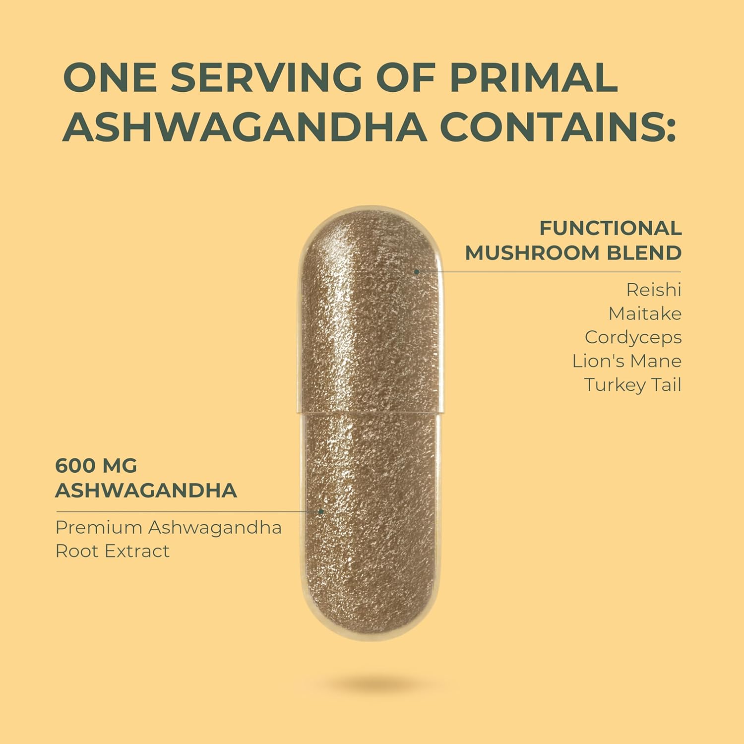 Primal Harvest Ashwagandha Supplement with 5 Mushroom Extracts: Lion’s Mane, Reishi, Cordyceps, Turkey Tail & Maitake for Immune Support & Cognitive Health - Image 5