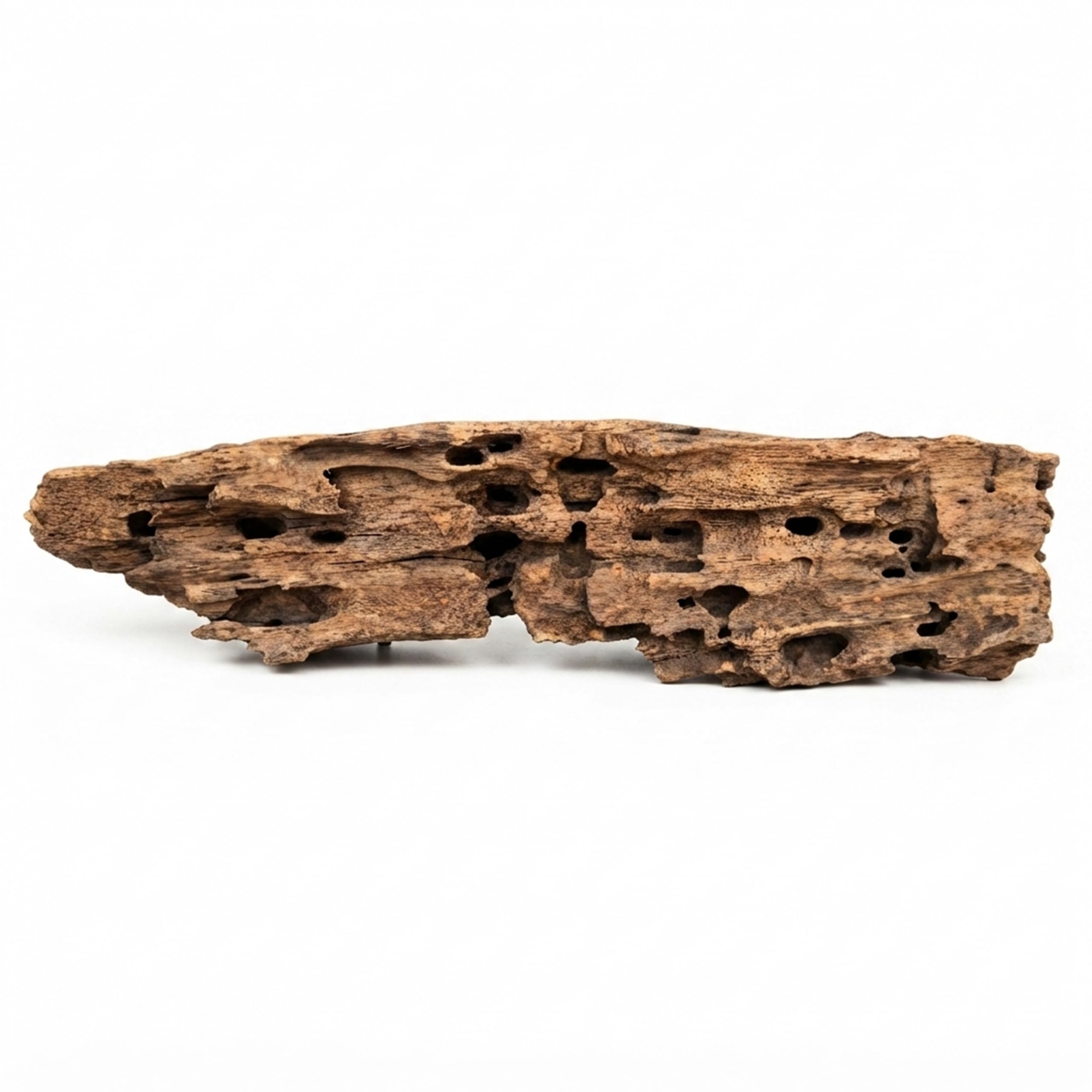VIRS PRO Premium Dragon Wood for Aquariums & Aquascaping – Natural Malaysian Driftwood Hardscape, Hollow Root Wood for Shrimp, Fish Tank, Reptiles and Terrarium Decor 40 cm - 50 cm