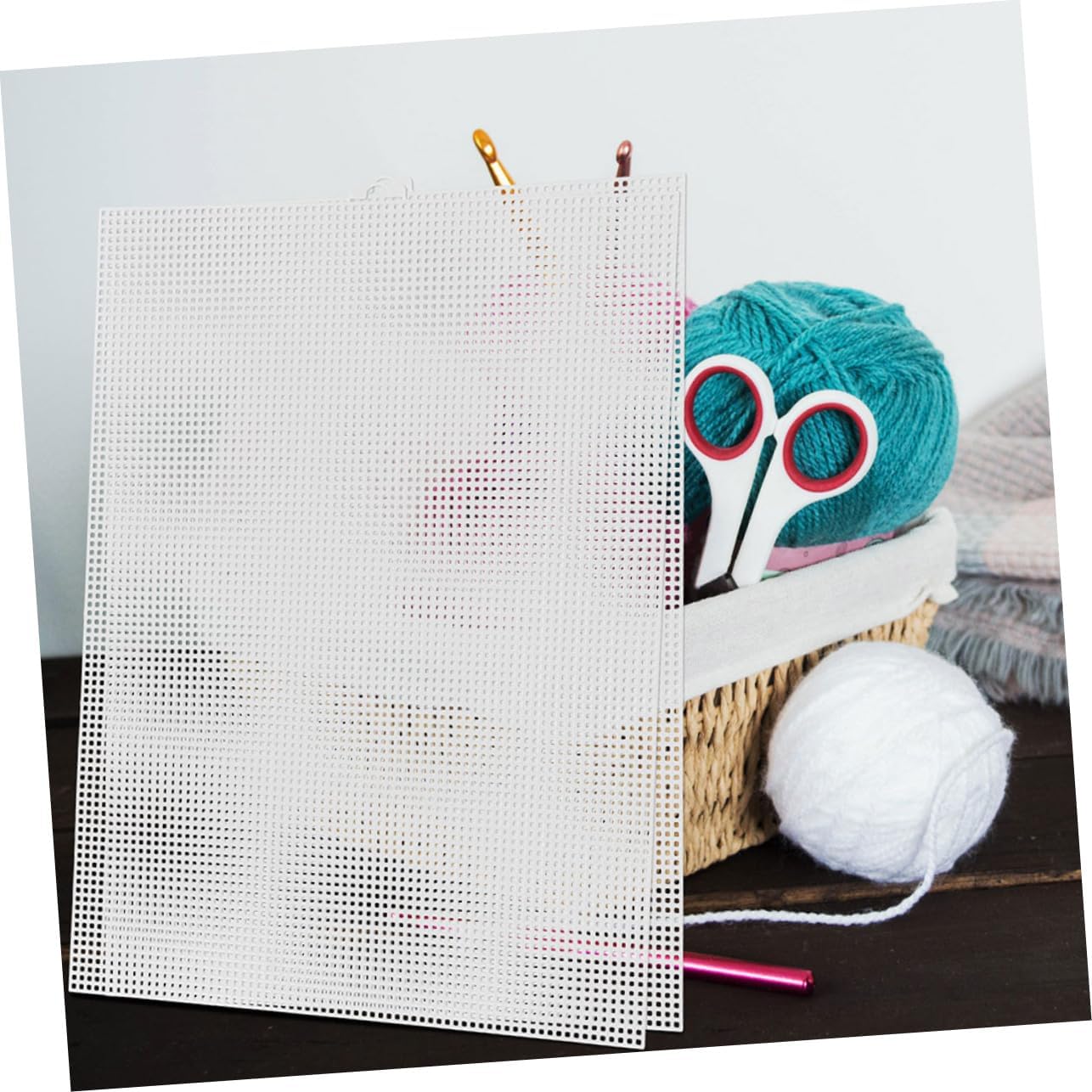 HEALSOPTHY 5pcs Plastic Mesh Canvas Sheets Embroidery Plastic Screen for DIY Bag Making Supplies