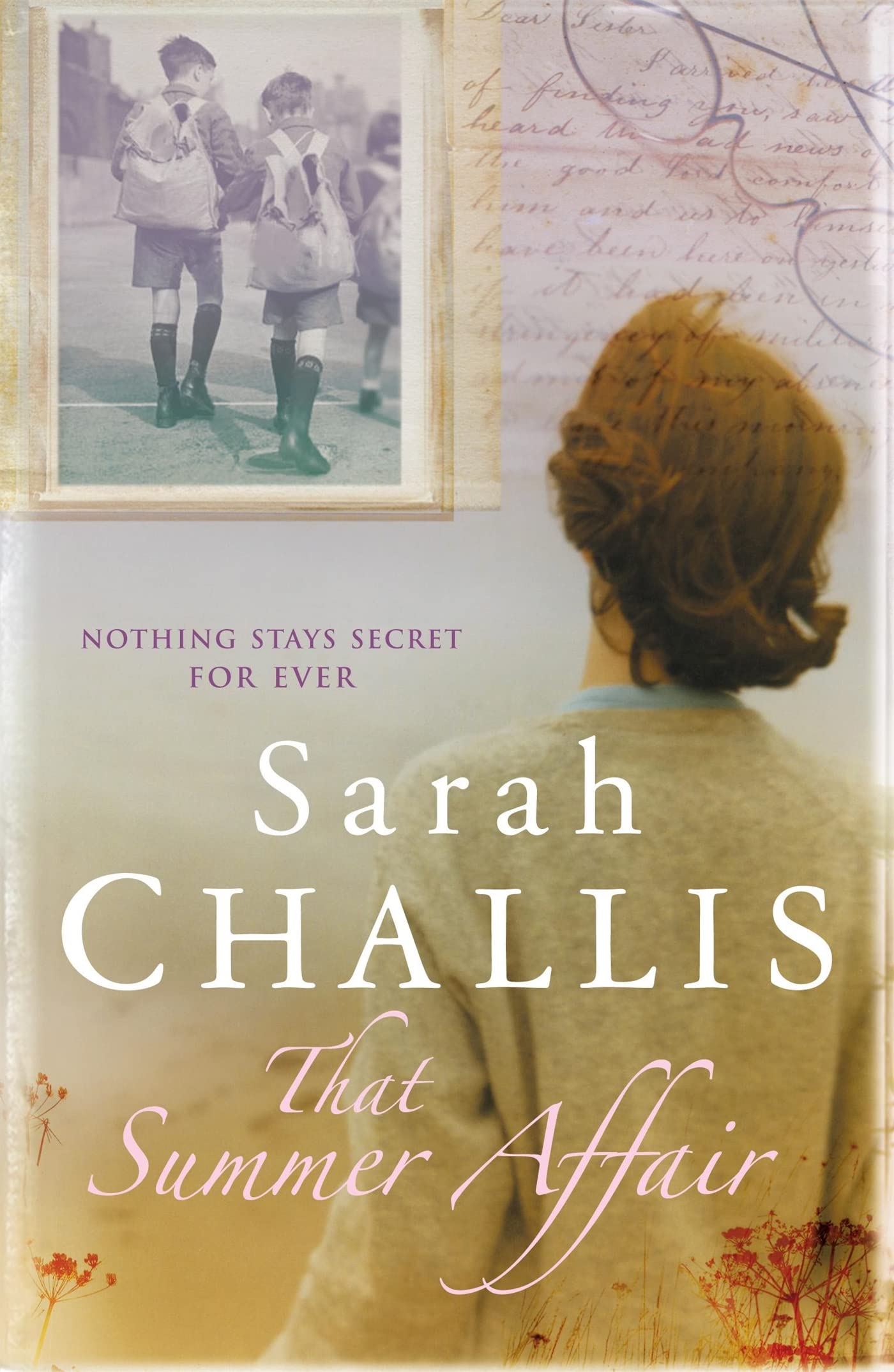 Sarah Challis Unisex Multicolor That Summer Affair Paperback Book
