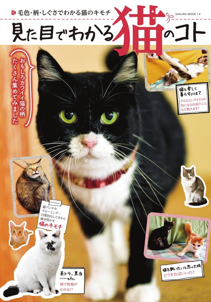 見た目でわかる猫のコト サクラムック 本 通販 Amazon 見た目でわかる猫のコト サクラムック 本 通販 Amazon