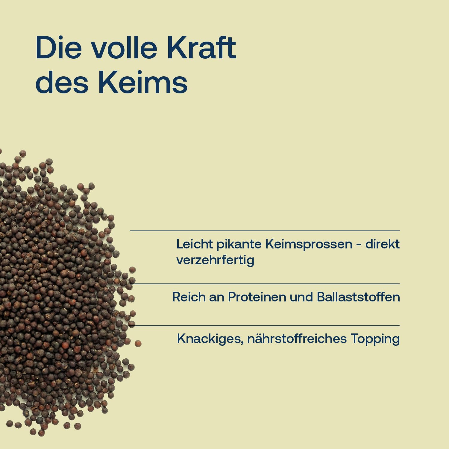 Gekeimte Brokkoli Samen Bio - Verzehrfertig, nicht fr Sprossen Zucht - 250  g Brokkolisamen - Mit Sulforaphan - Reich an Ballaststoffen und Protein :  Amazon.de: Garten