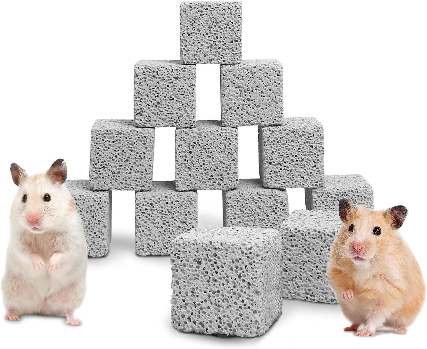 Best Rat Lab Blocks Completed Review In 2026