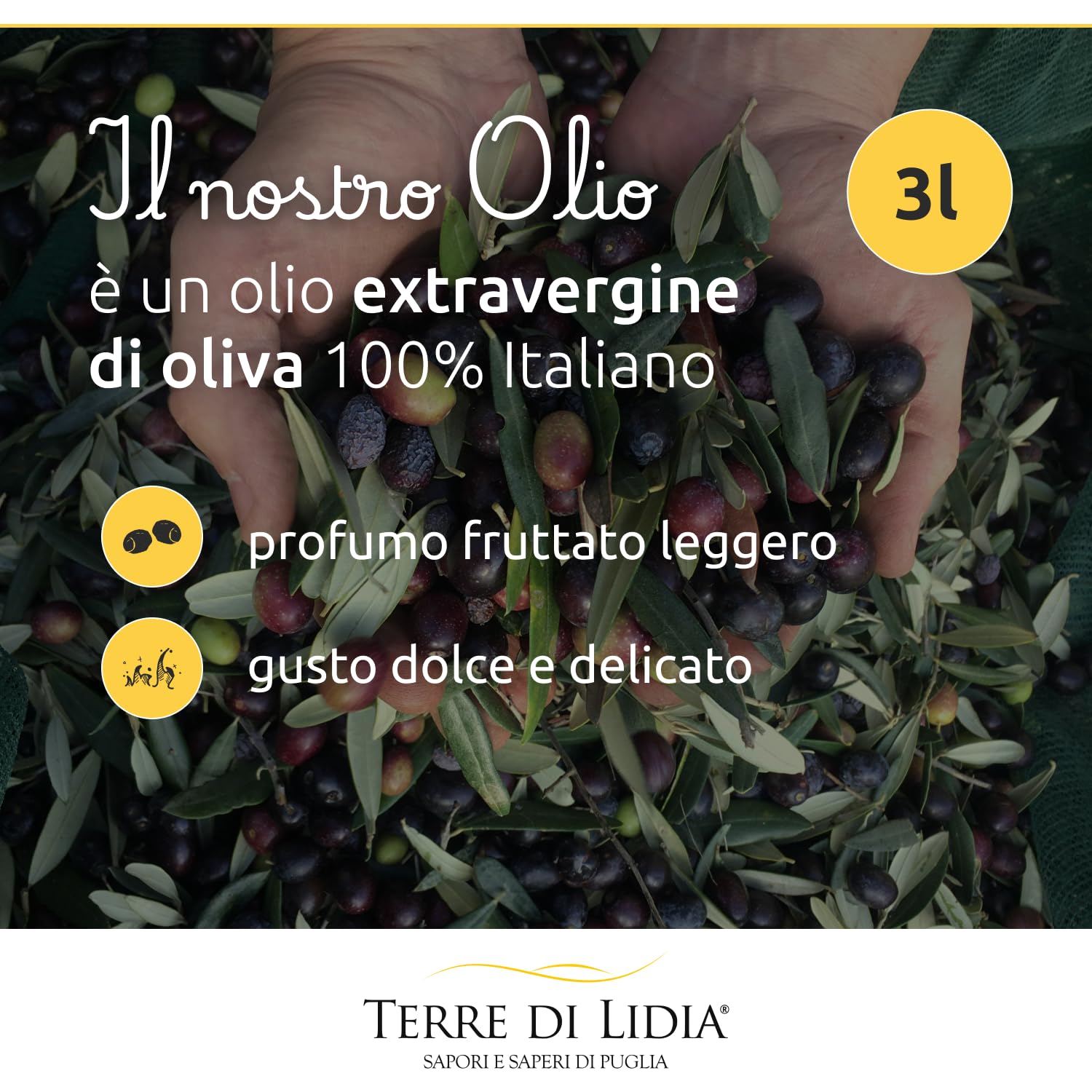 Terre di Lidia - Olio extravergine di oliva - 1 bag in box (3 L) - scatola con rubinetto laterale - Filiera corta - Varietà Ogliarola, Gusto Delicato - Produzione 100% italiana