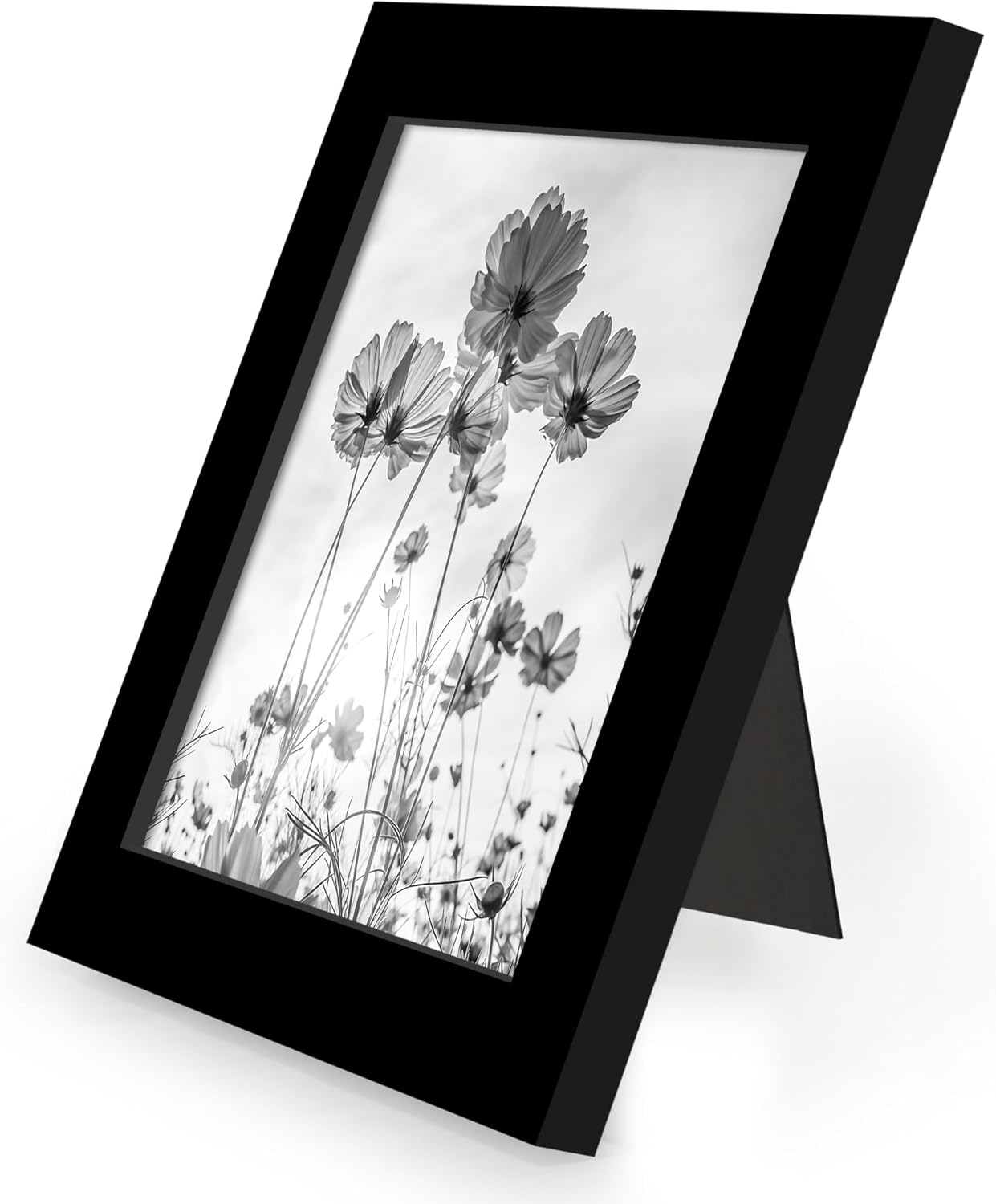 Americanflat 5x5 Picture Frame with Polished Plexiglass - Set of 12 - Signature Collection - Picture Frames with Engineered Wood - Square Frame for Tabletop and Wall Display - Black