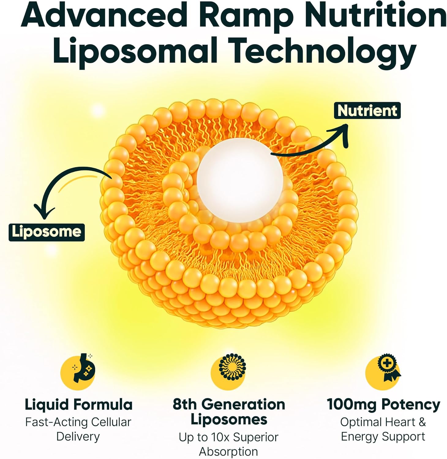 Liposomal CoQ10 Liquid – High Absorption Coenzyme Q10 for Heart, Energy, and Cellular Support – 30 Servings - Image 4