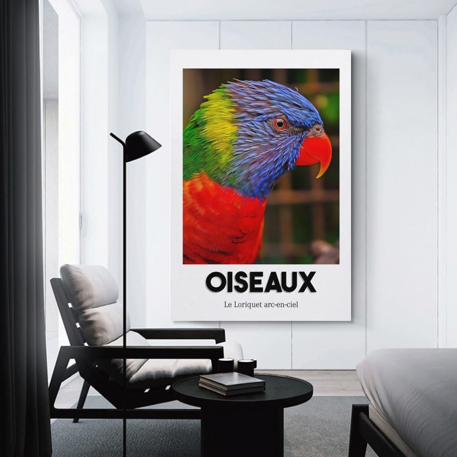 Junmoney Rainbow Lorikeet Room Decor Wall Art 16x24inch(40x60cm), for Wall Displays, Bedrooms Or Room Updates, Ideal for Building A Coordinated Art Wall