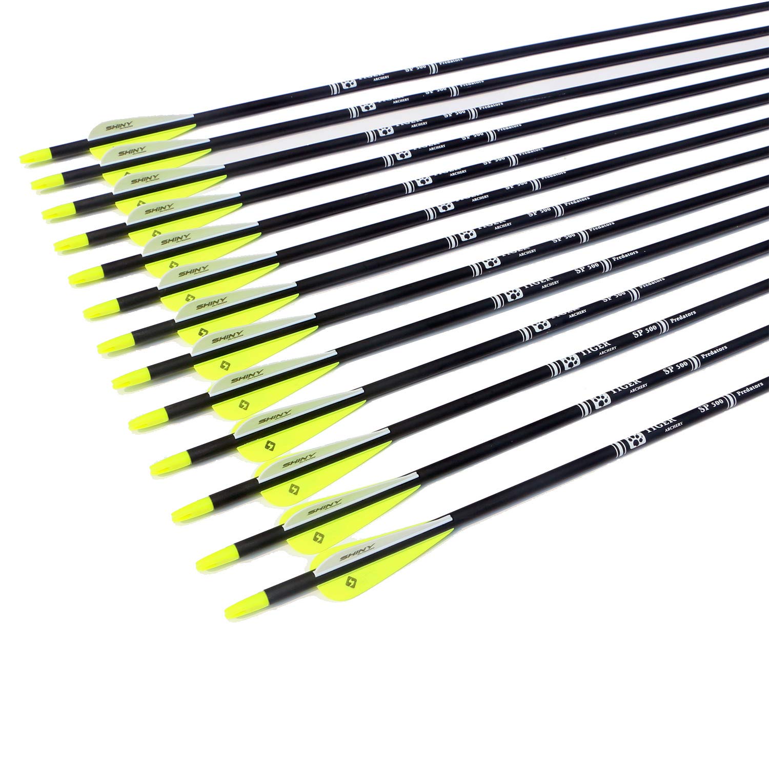 TIGER ARCHERY 30Inch Carbon Arrow Practice Hunting Arrows with