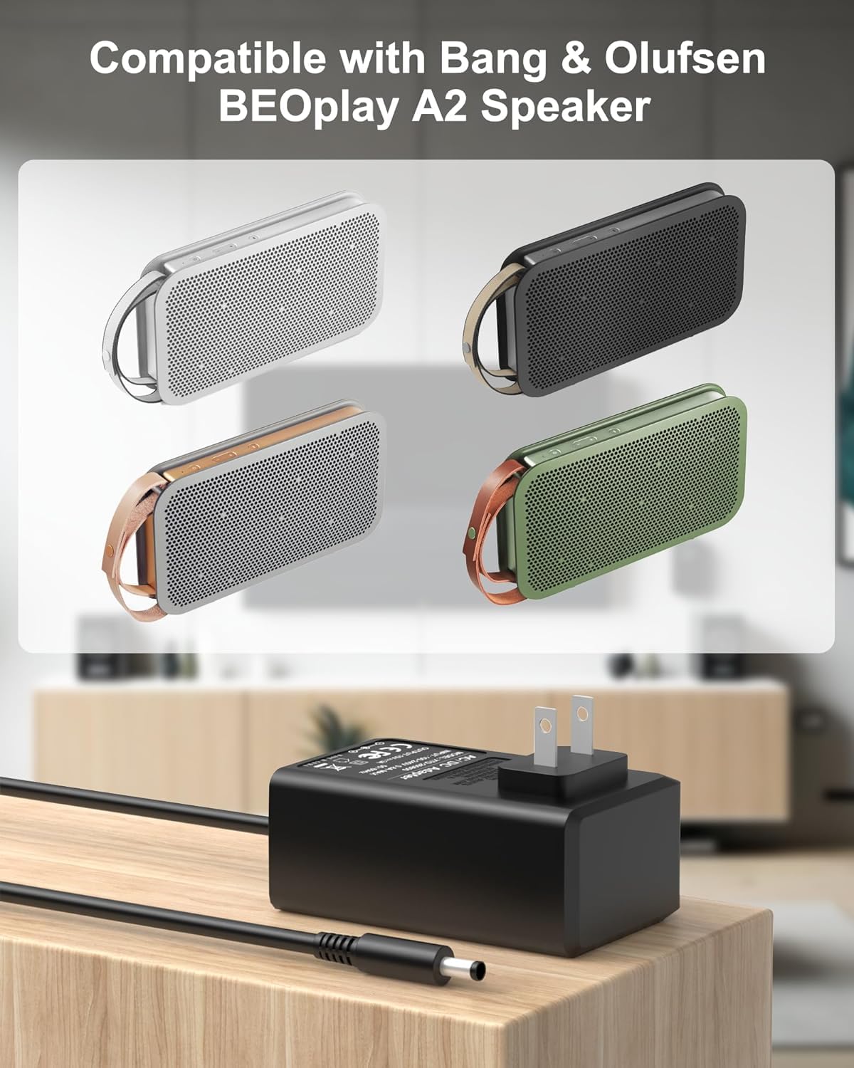 Amazon.com: FGIEU 15V 喇叭充電器相容於B&O Bang & Olufsen BEO Play