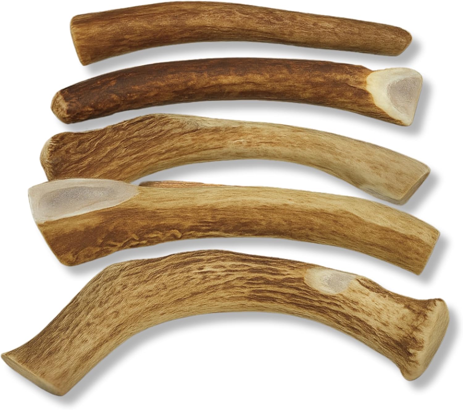 WhiteTail Naturals Deer Antlers for Dogs (1 lb Bulk Pack) Premium Antler Chews for Medium to Large Dogs – Grade A, Wild Sourced & Naturally Shed (Approx. 4-5 Count)