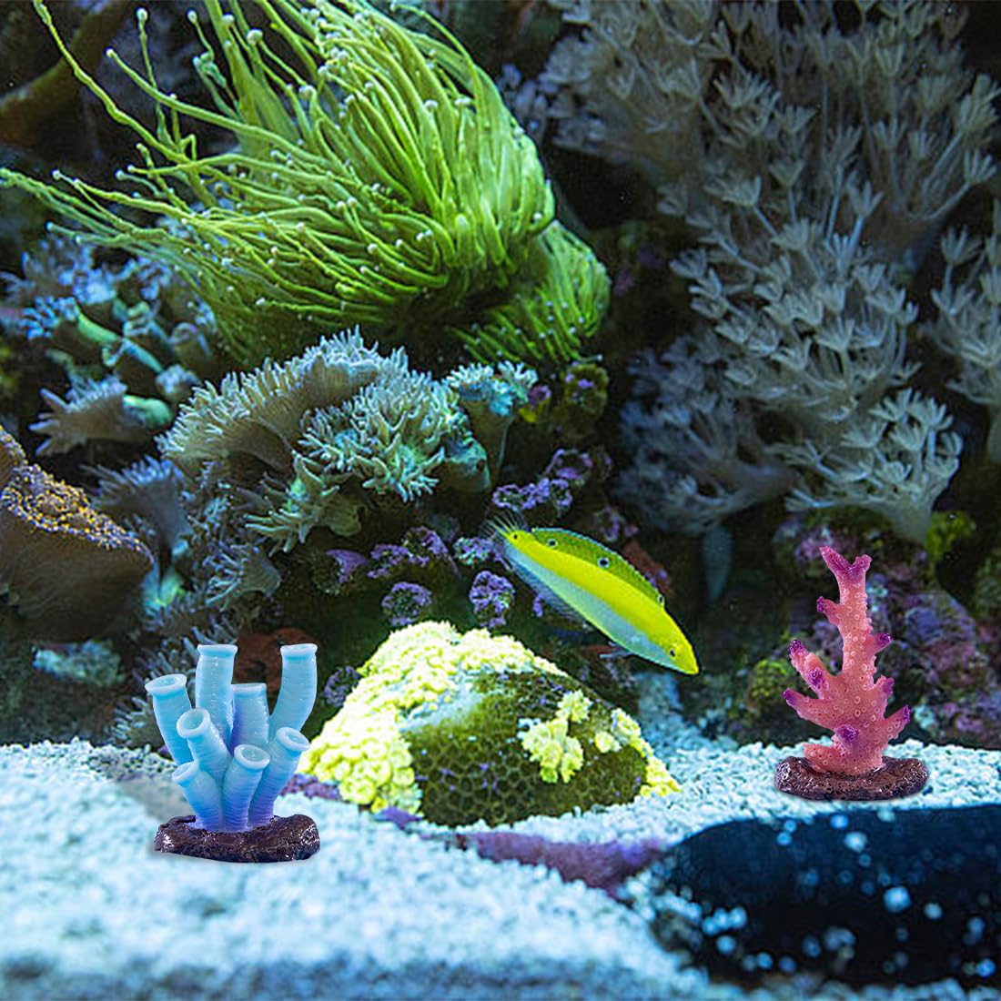 6 Pièces Corail et Aquatiques Plantes d'aquarium Décorations Ornements d'aquarium Aquarium de Corail Artificiel Home Decor Home-déco Corail Aquarium Artificielle (6PCS)