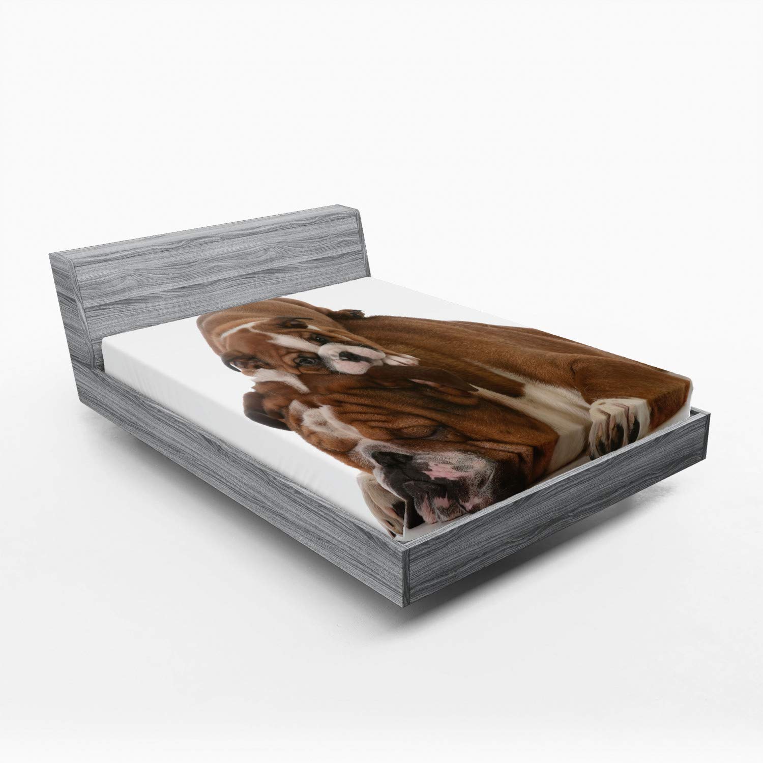 Ambesonne English Bulldog 2 Pack Fitted Sheet, Father and Son, Bed Cover All-Round Elastic Deep Pockets 2 Pieces, Package Contains 2 California King Fitted Sheets, Brown and White