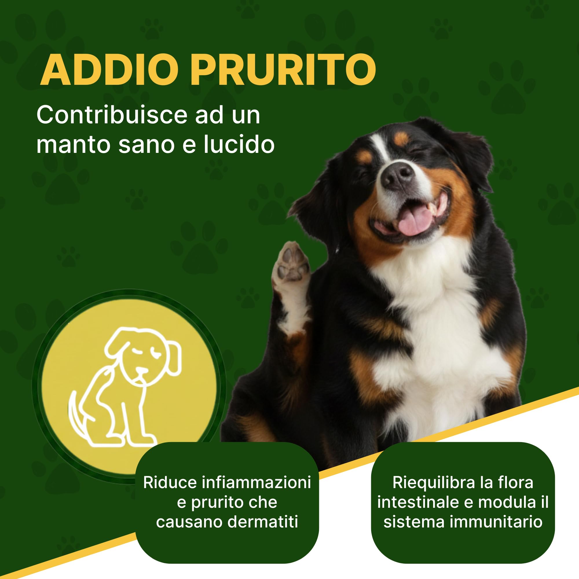 ProbioticPet Cane 30 Compresse per Prurito, Dermatite, Digestione | Probiotici per Cani FOS e MOS | Integratori per cani | Supporto per Diarrea Cane e Gatto | Made in Italy Longevity Pet