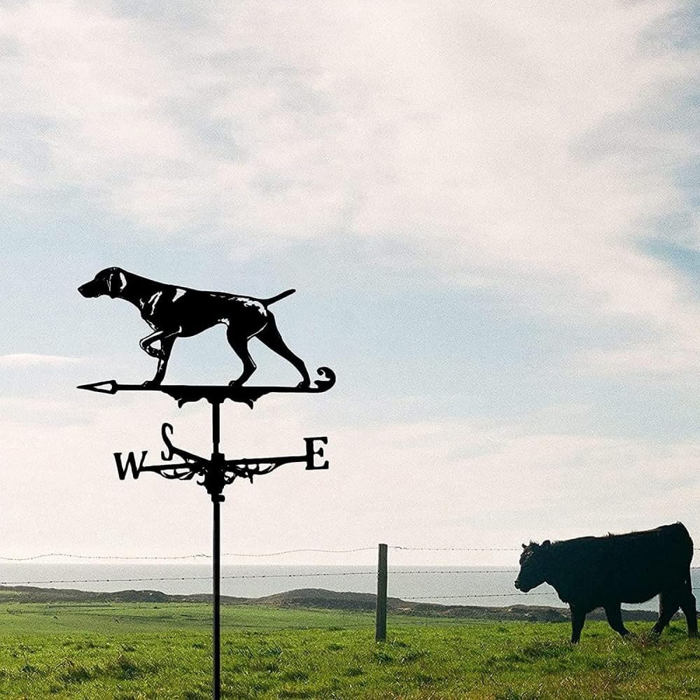 Weather Vane,Black Hound Weather Vane with Roof Mount Farmhouse Weathervane Creative Wind Direction Indicator with -Rust Coating for Outdoor Metal Bracket