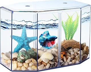 Small Fish Tank - Mini Betta Bow Tank Tiny Aquarium Tank - Include Starfish Decoration & Fish Tank Gravel - 2/5 Gallon Fish Bowl Divided Compartments Beta Fish Tanks for 2 Betas Sea Monkeys