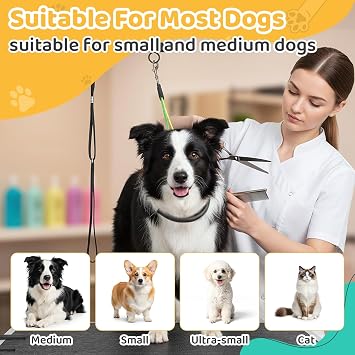 42 H Adjustable Height Dog Grooming Arm with double Clamp, Dogs Grooming Table Arm with Loop Noose and No Sit Haunch Holder, Perfect dog restraint for Small & Medium Dogs,Arm for Grooming Tables