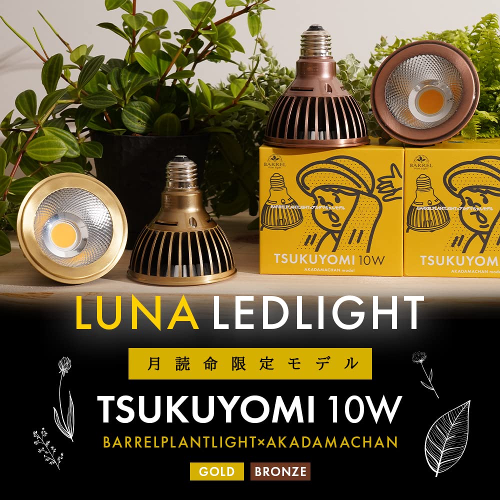 新品　TSUKUYOMI 10W ゴールド 2個セット TSKUYOMI 10W ゴールド ブロンズ（ツクヨミLED 10W）AKADAMACHAN
