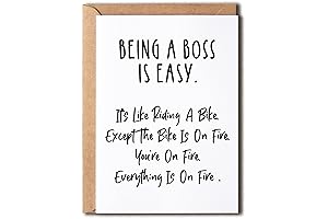 Be The Boss Like Riding a Bike: The Funniest Boss Gift Idea...