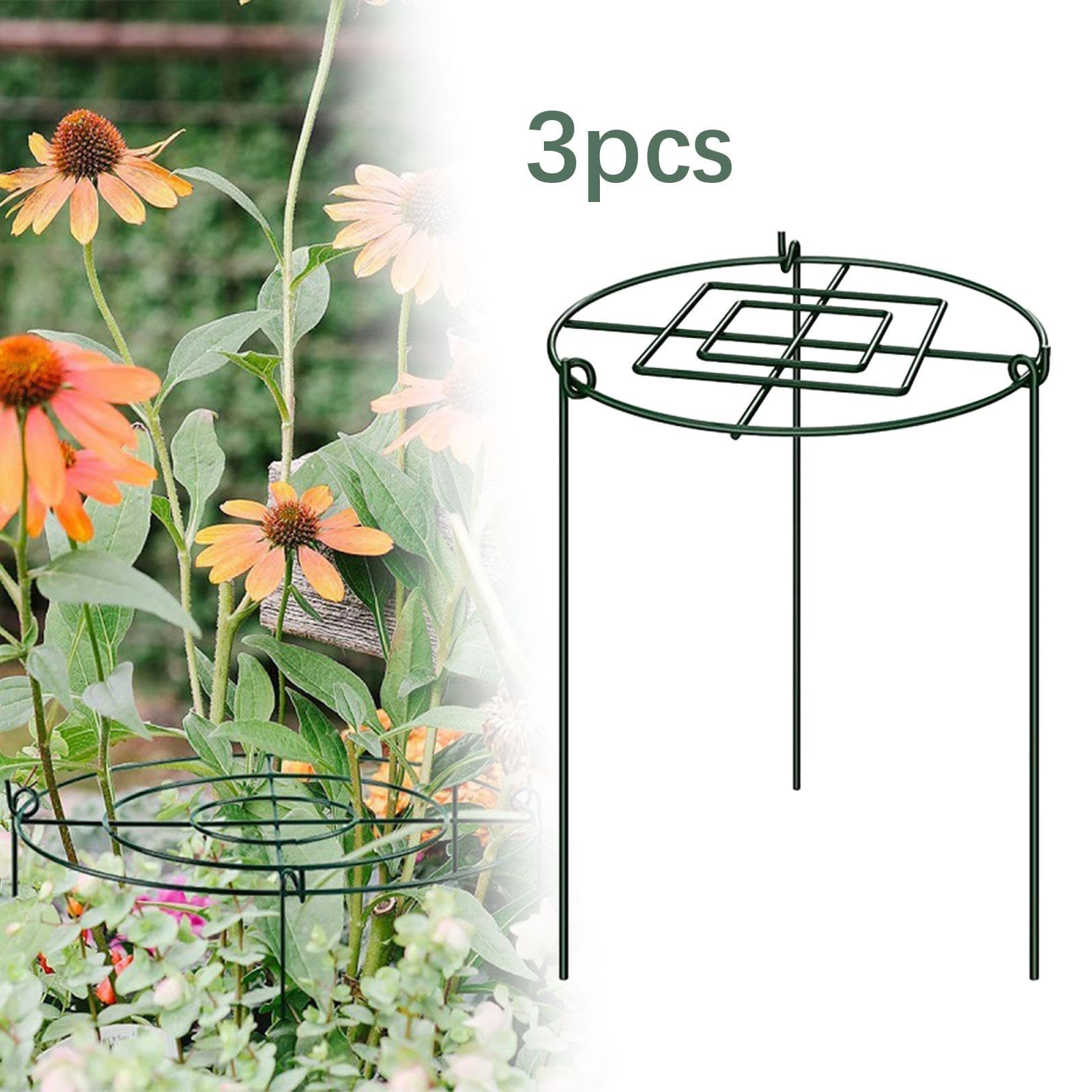 Lot de 3 Cages de Support pour Pivoines, Anneaux de Support Antirouille pour La Croissance des Plantes, Idéales pour Les Pivoines, Les Tomates et Les, 30x60cm
