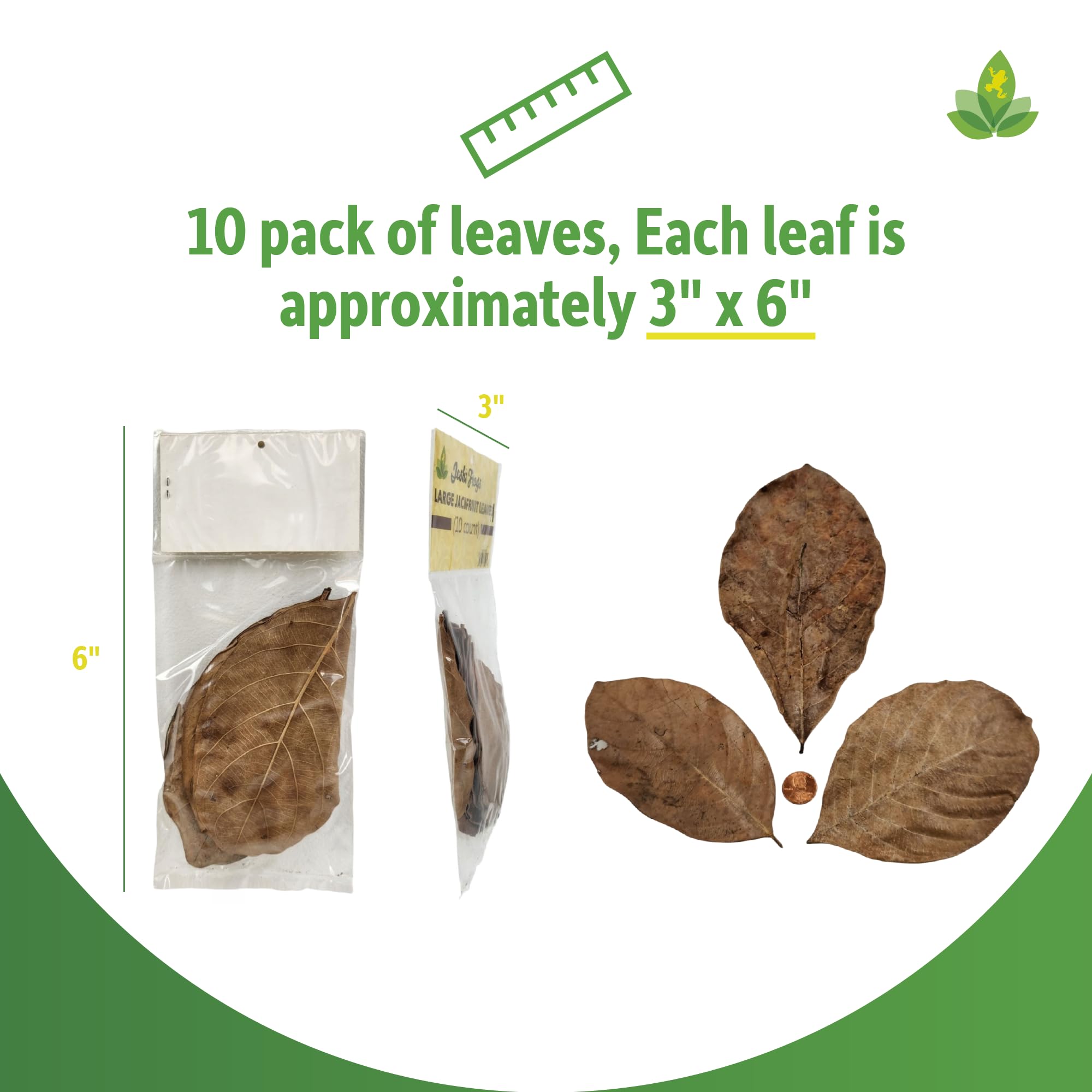 Amazon.com : Josh's Frogs Large Jackfruit Leaf Litter (10 Count