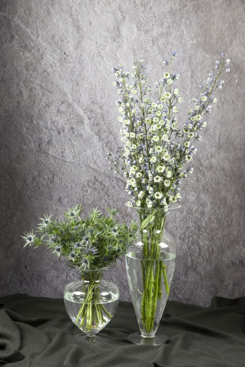 Glasvase Noble bauchig rund H. 33cm D. 23,5cm transparent Glas Hakbijl
