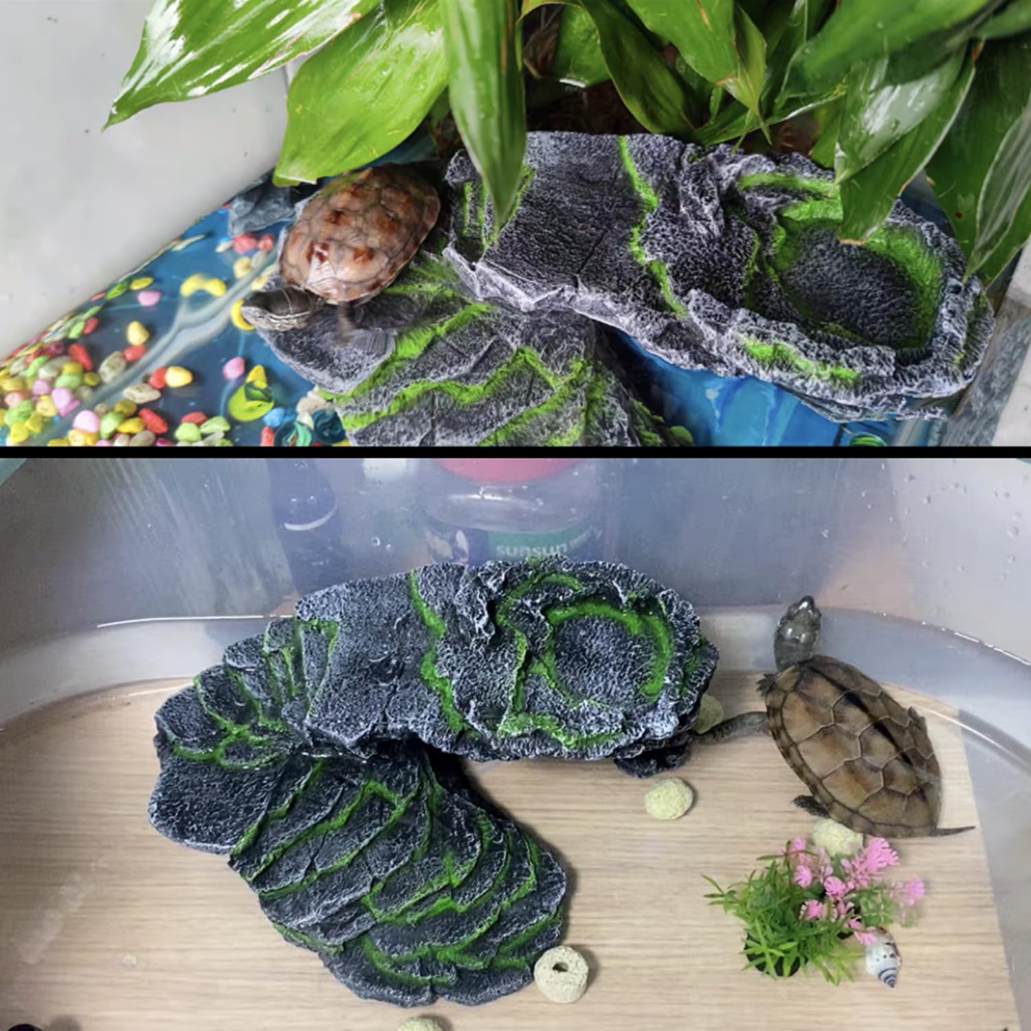 Rettili Ramp Piattaforma Tartaruga Basking Piattaforma Rocce Passo Alimentatore e Geco Grotta Nascondiglio Rifugio Per Rettile Rane Lucertole Camaleonte Acquario Decorazione