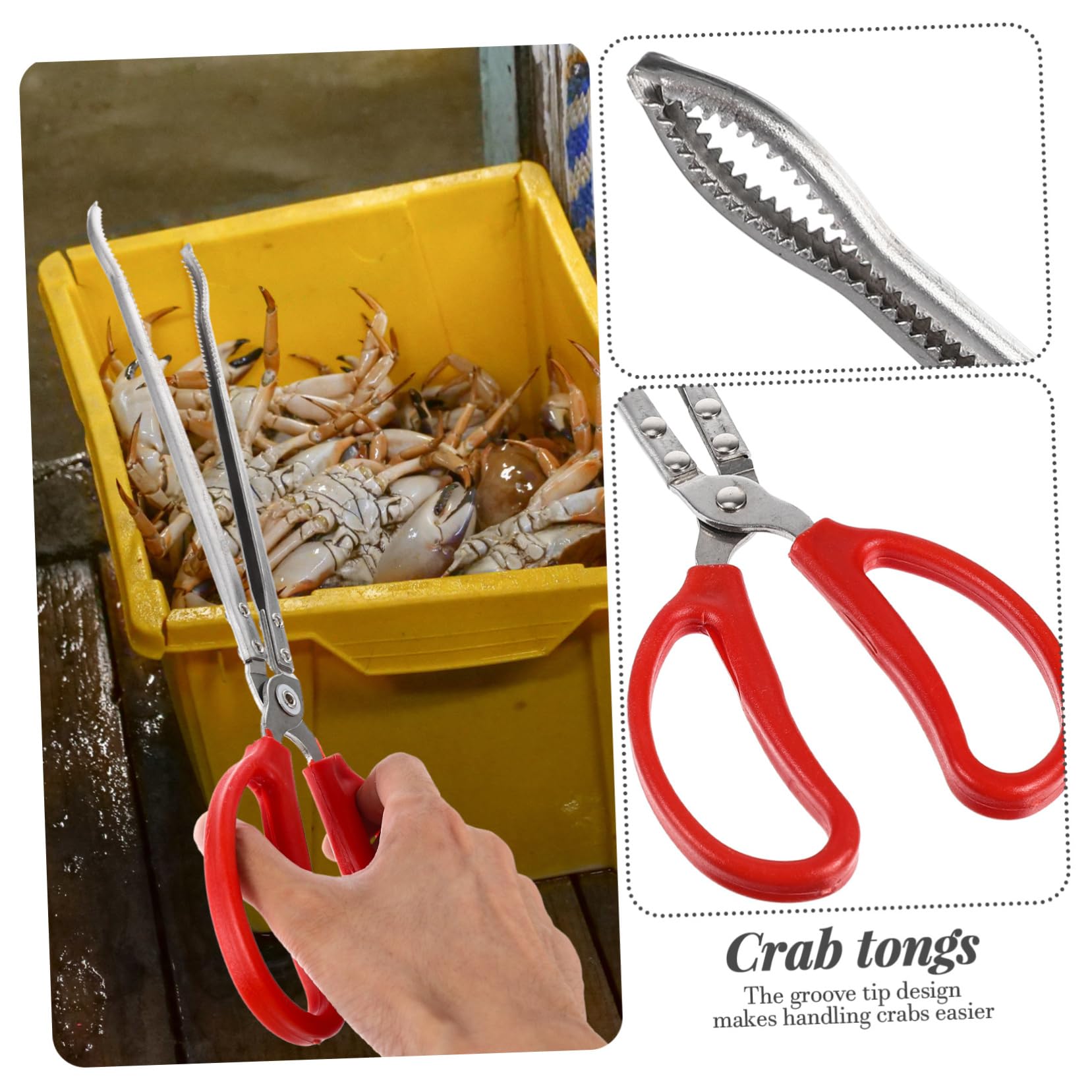 Pinza Inoxidable Multifunción para Acero de Portátil Cangrejos