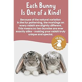 Living Nature Grey Dutch Lop Eared Rabbit Stuffed Animal | Fluffy Rabbit Animal | Soft Toy Gift for Kids | 10 inches