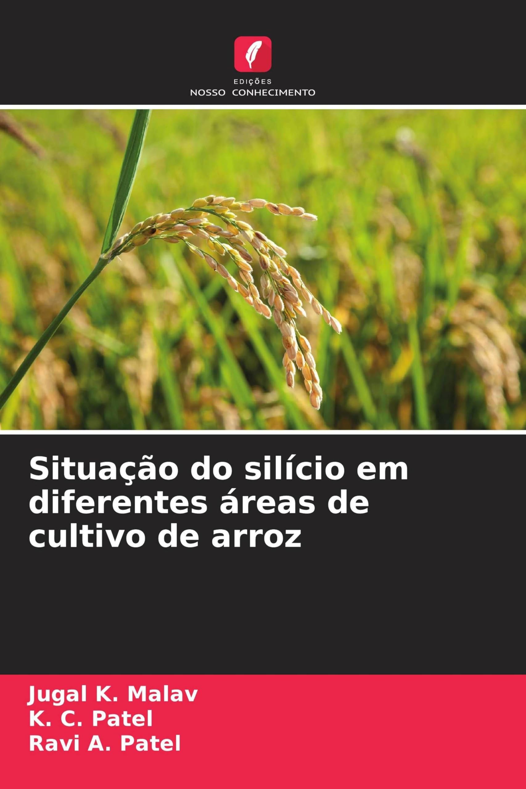 Situação do silício em diferentes áreas de cultivo de arroz