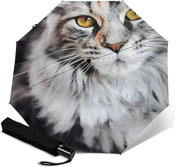 Amazon メインクーン きれいな猫 折りたたみ傘 折り畳み日傘 ワンタッチ 自動開閉 晴雨兼用 持ち運びに便利 完全遮光 紫外線遮断 耐強風 超撥水 梅雨対策 折れない傘 男女兼用 折りたたみ傘 通販