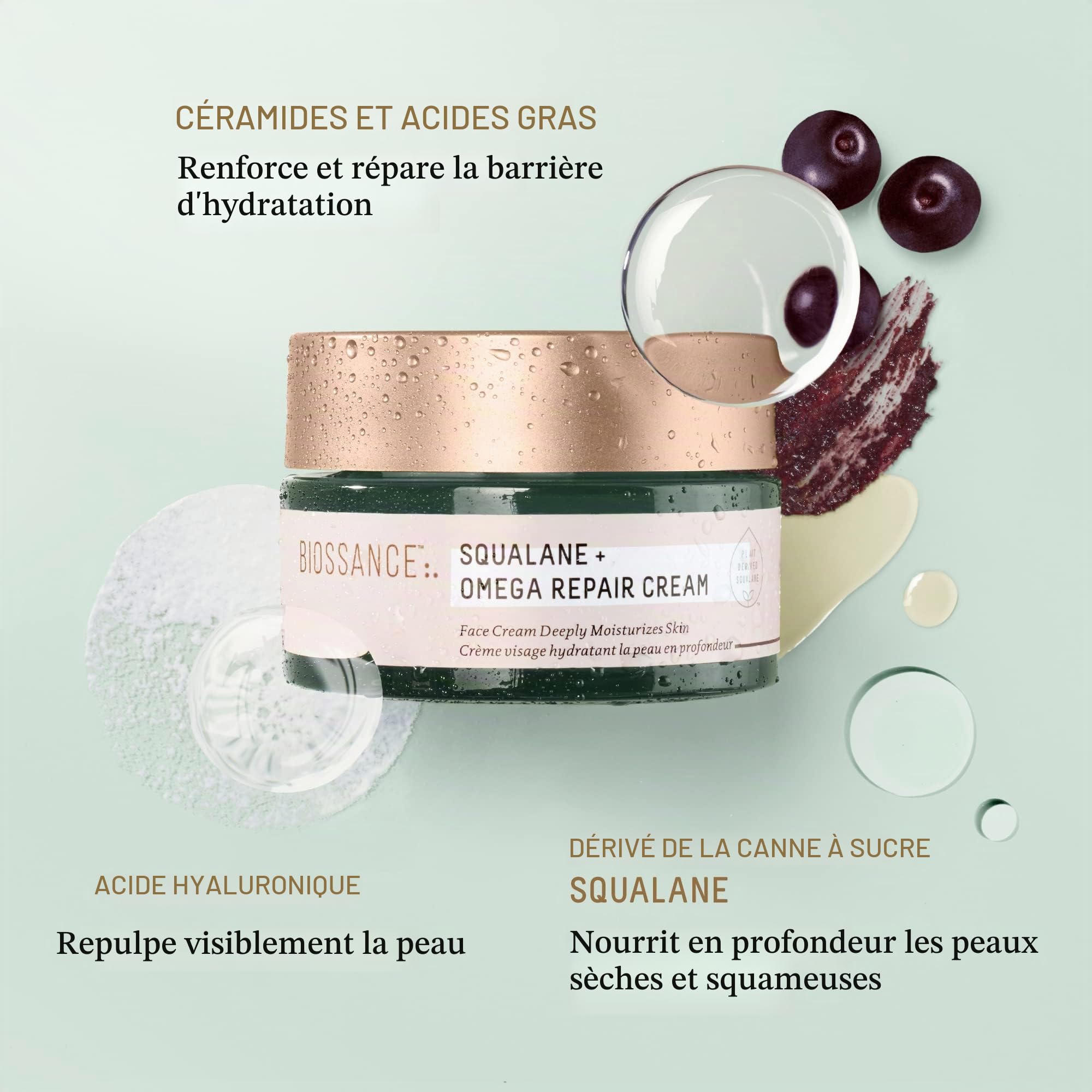 Biossance Crème Réparatrice Squalane + Oméga - Crème Hydratante Ultra-Riche pour une Peau Lisse et Repulpée Sans Sensation Grasse - Sans Parabens ni Parfum (50 ml)