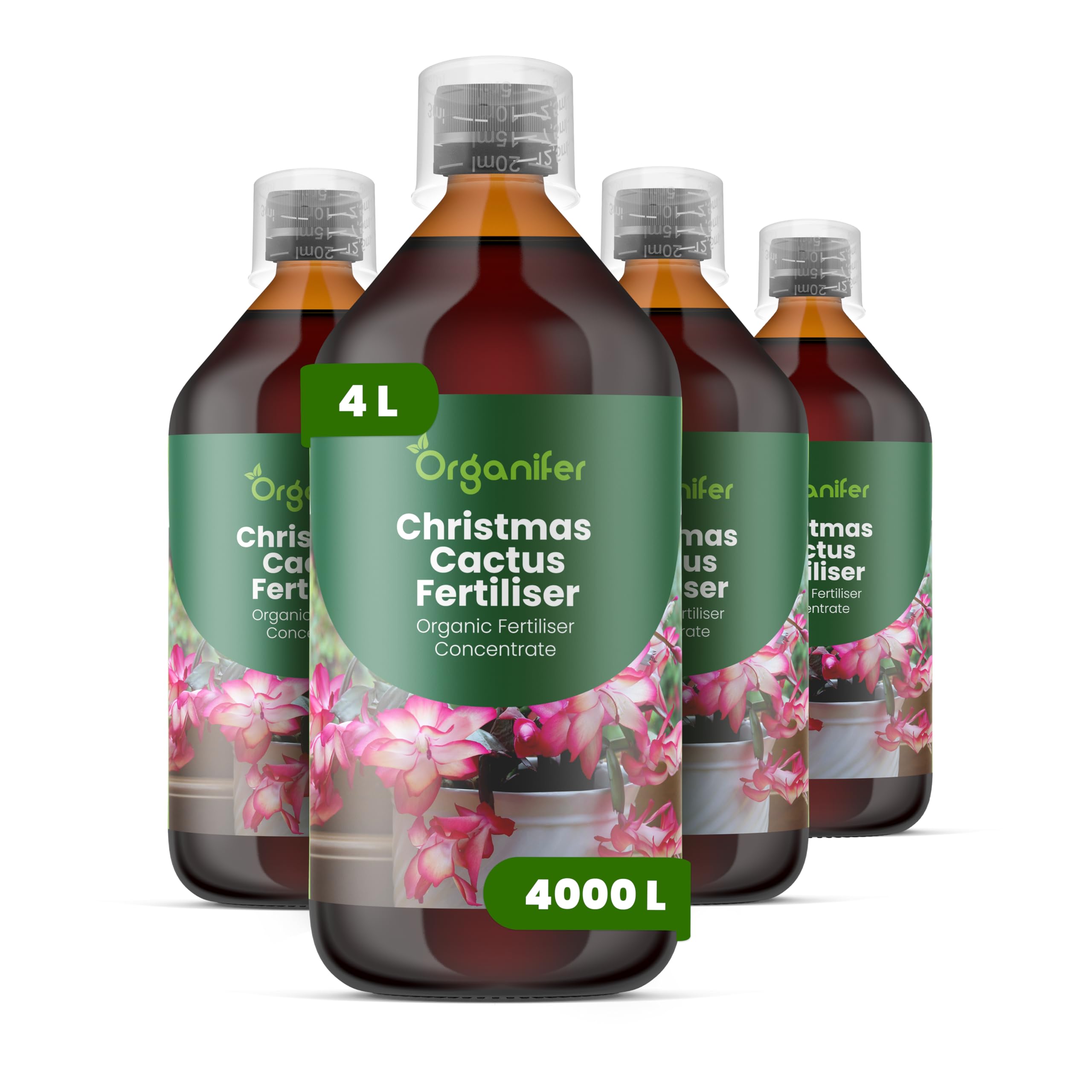 Fertilizante Líquido - 4x1L - Para Cactus De Navidad En Maceta - NPK 2-1-8 | Plantas Saludables - Organifer