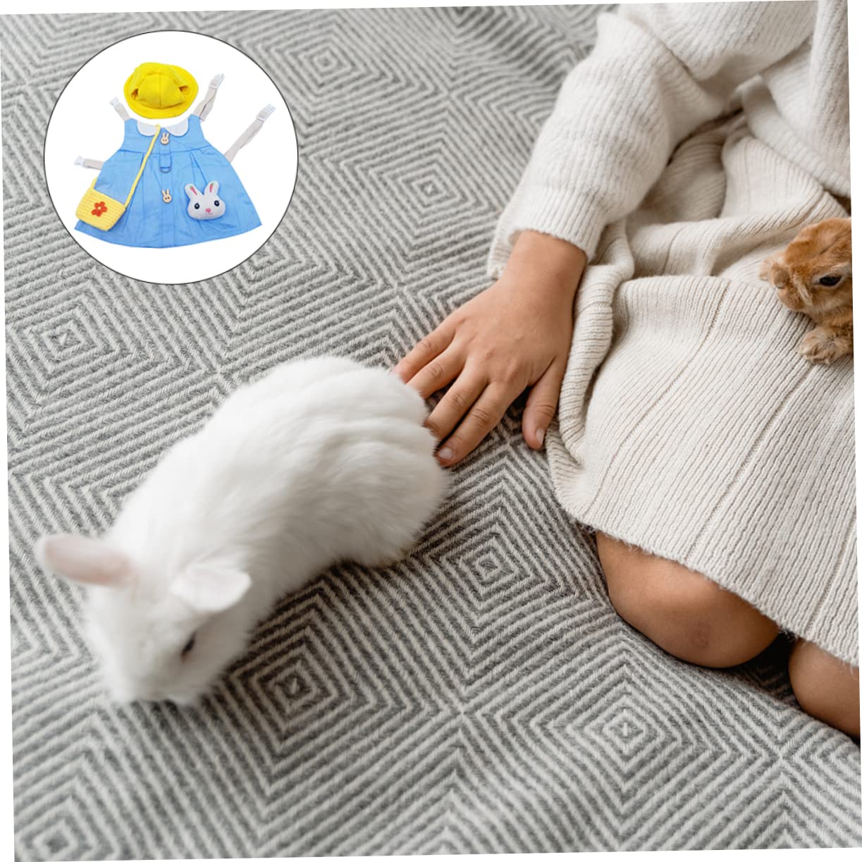 Housoutil 2sets Costumi Per Coniglietto Con Pettorina e Guinzaglio Abbigliamento Per Animali Domestici Adatto Per Festa e Uso Quotidiano Design Unico e Comodo Per Passeggiate All Aperto