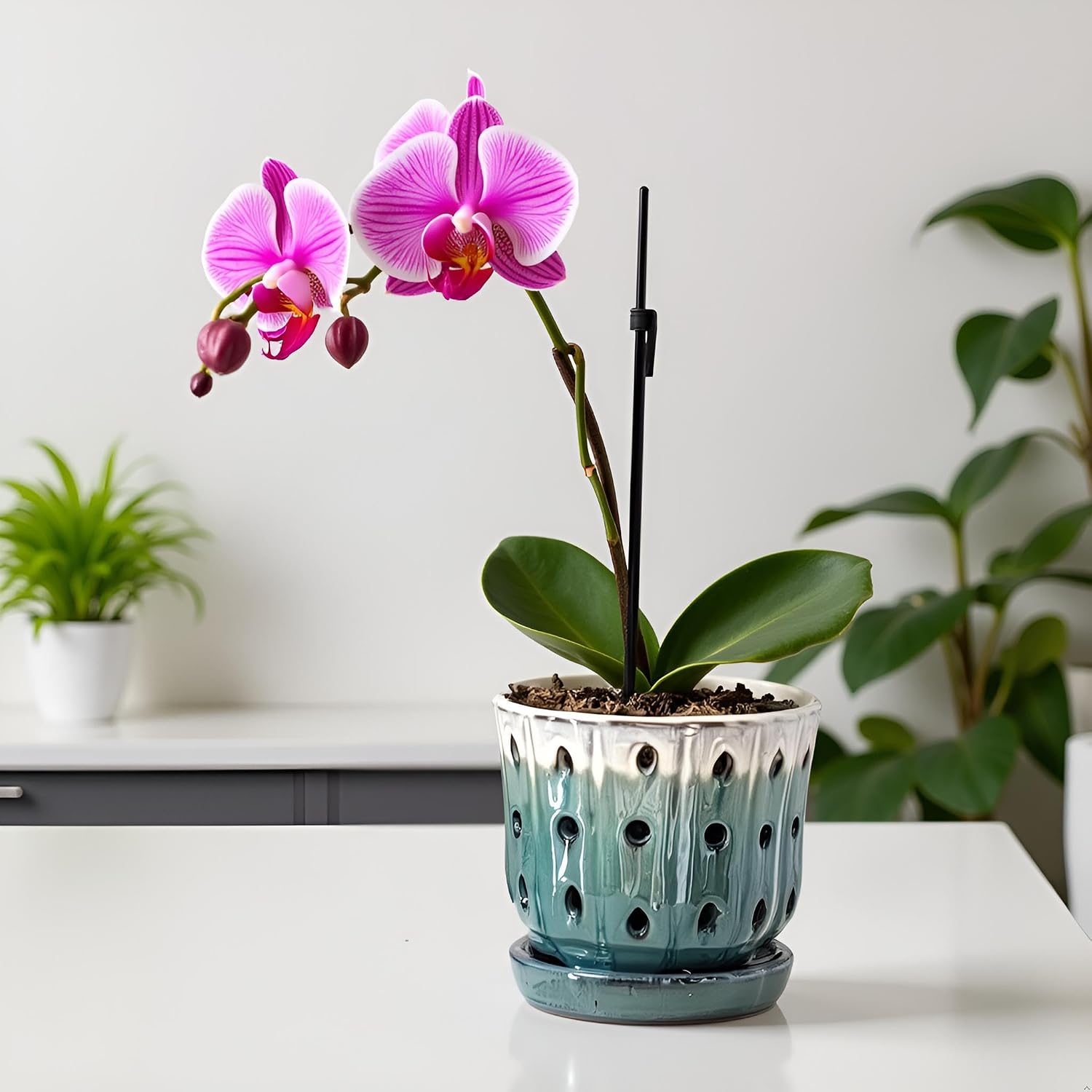 Orchid Pots 4.9 inch Ceramic Orchid Pots with Holes Set of 2 Cream Over Turquoise