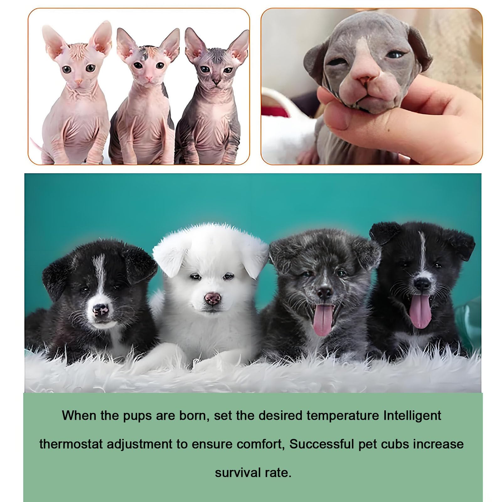 Caja incubadora para mascotas, incubadora para cachorros y gatitos, incubadora para gatos con calefacción, criadoras e incubadoras, criadora grande para mascotas, guardería para perros. 80*50*50