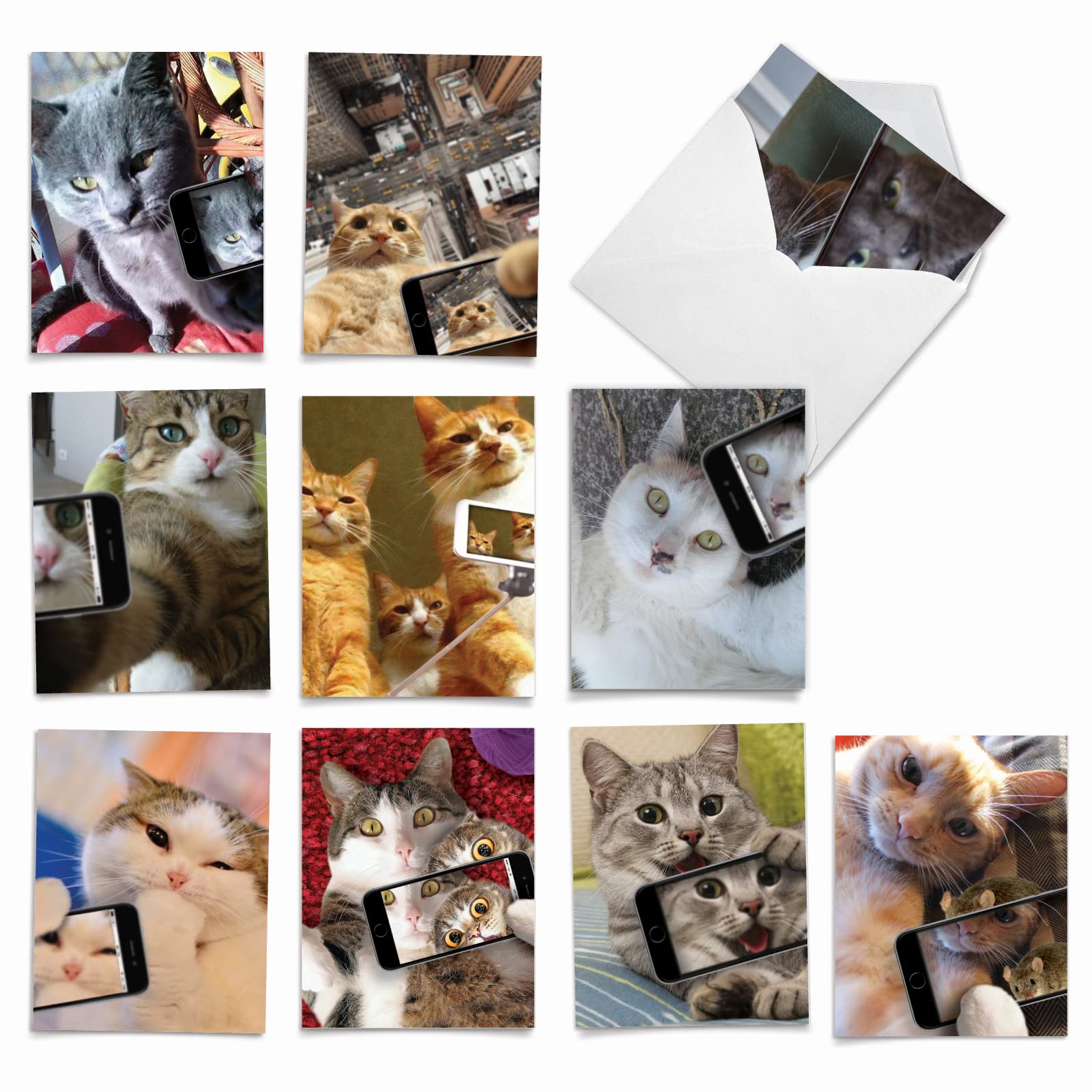 The Best Card Company - 10 Adorable Blank Cat Cards (4 x 5.12 Inch) - Cute Pet Kittens, Assorted Bulk Notecard Set - Cats Selfie M4953OCB-B1x10-NB