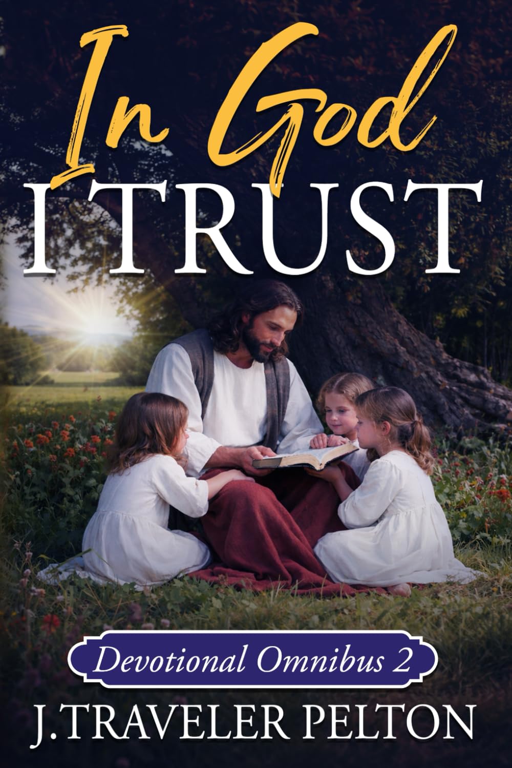 In God I Trust: Book Two (Collected Faith Journeys)