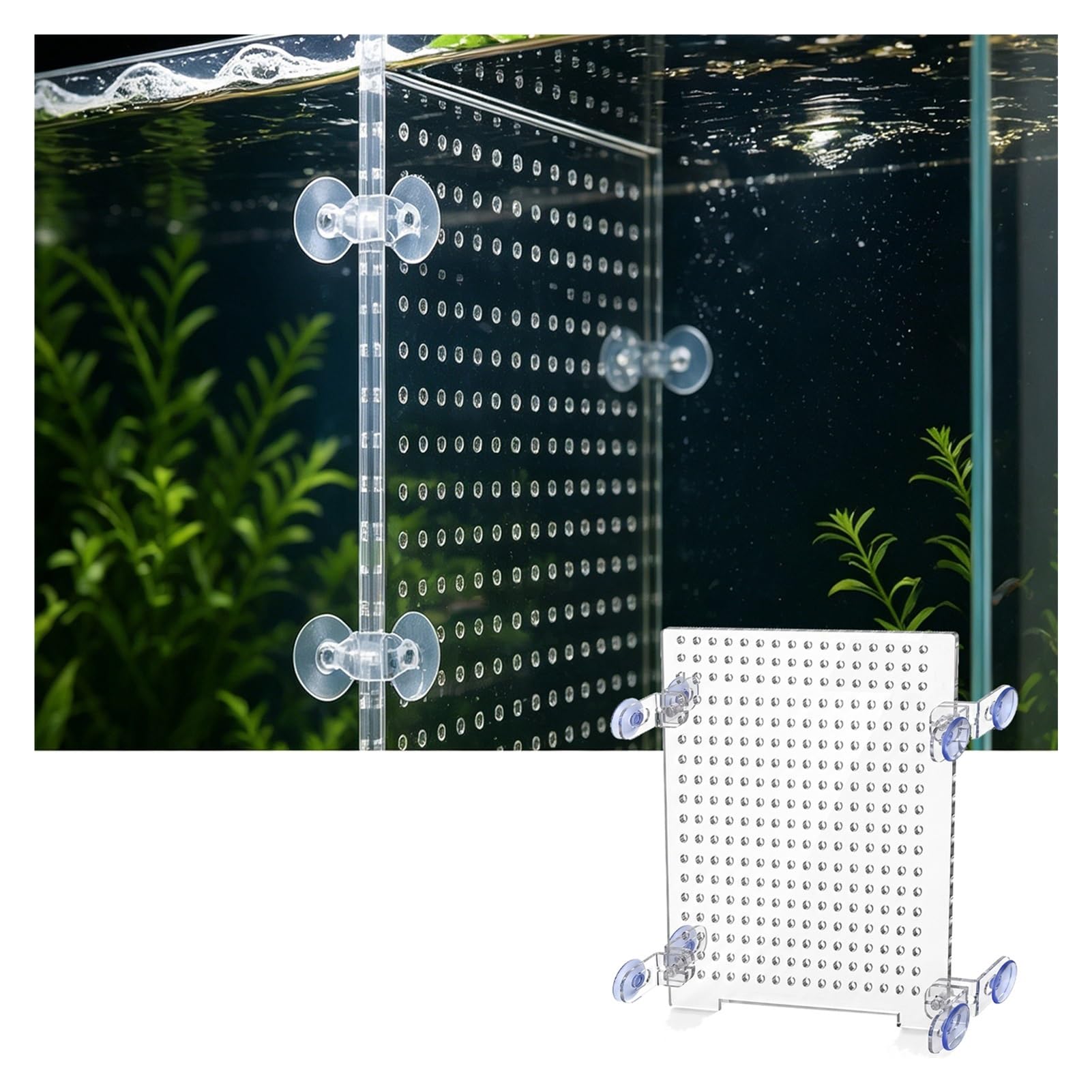 Séparateur d'Aquarium en Acrylique Transparent 5mm avec Ventouses, Grille d'Isolement pour Poisson et Circulation de l'eau(60x110cm)