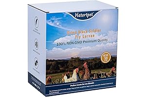 Kalmbach Chicken Feed: Fortified Nutrition for Thriving Poultry