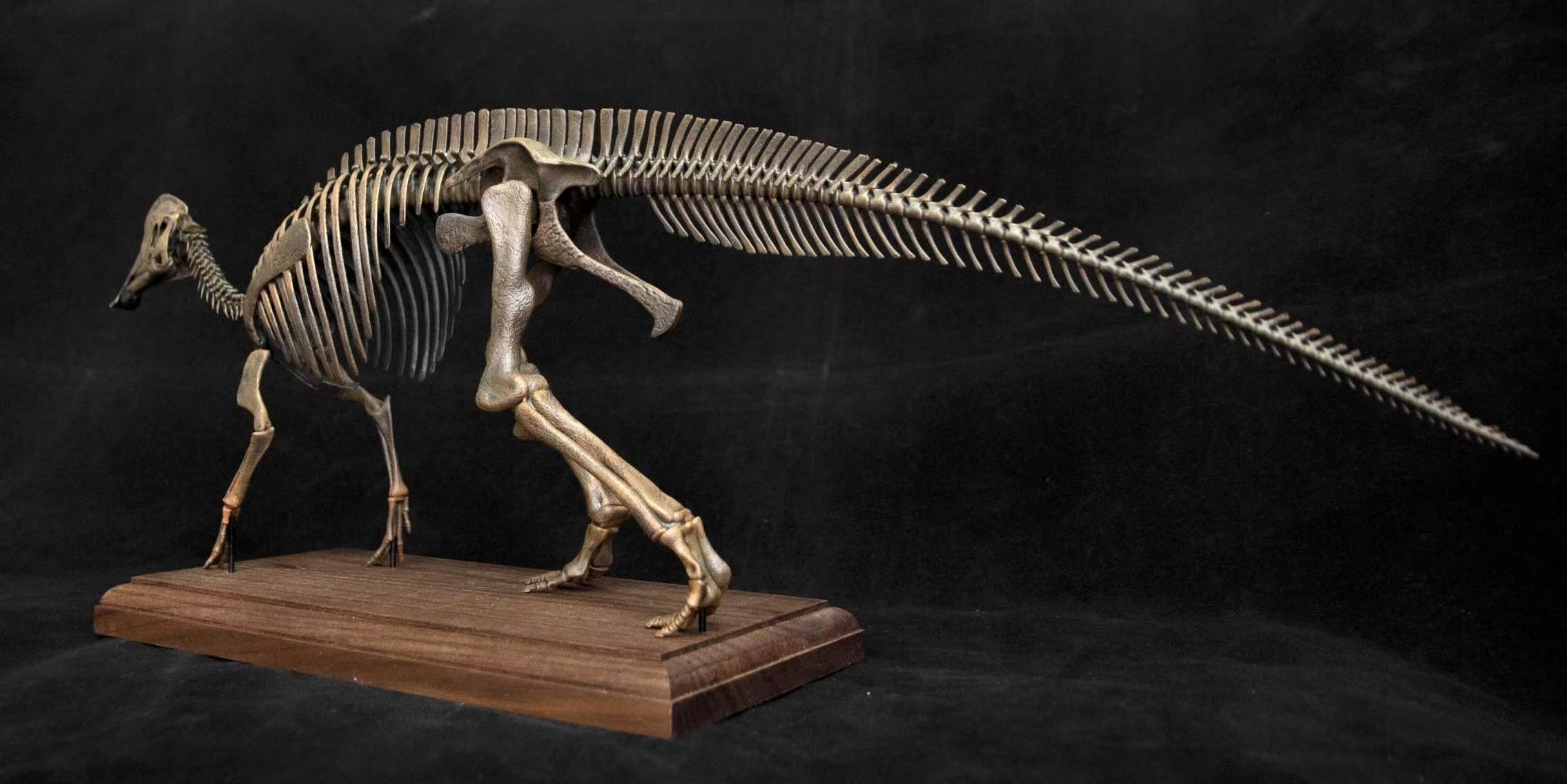 Amazon.com: VWUVWU 1:20 Scale Hypacrosaurus Figure Hadrosauridae