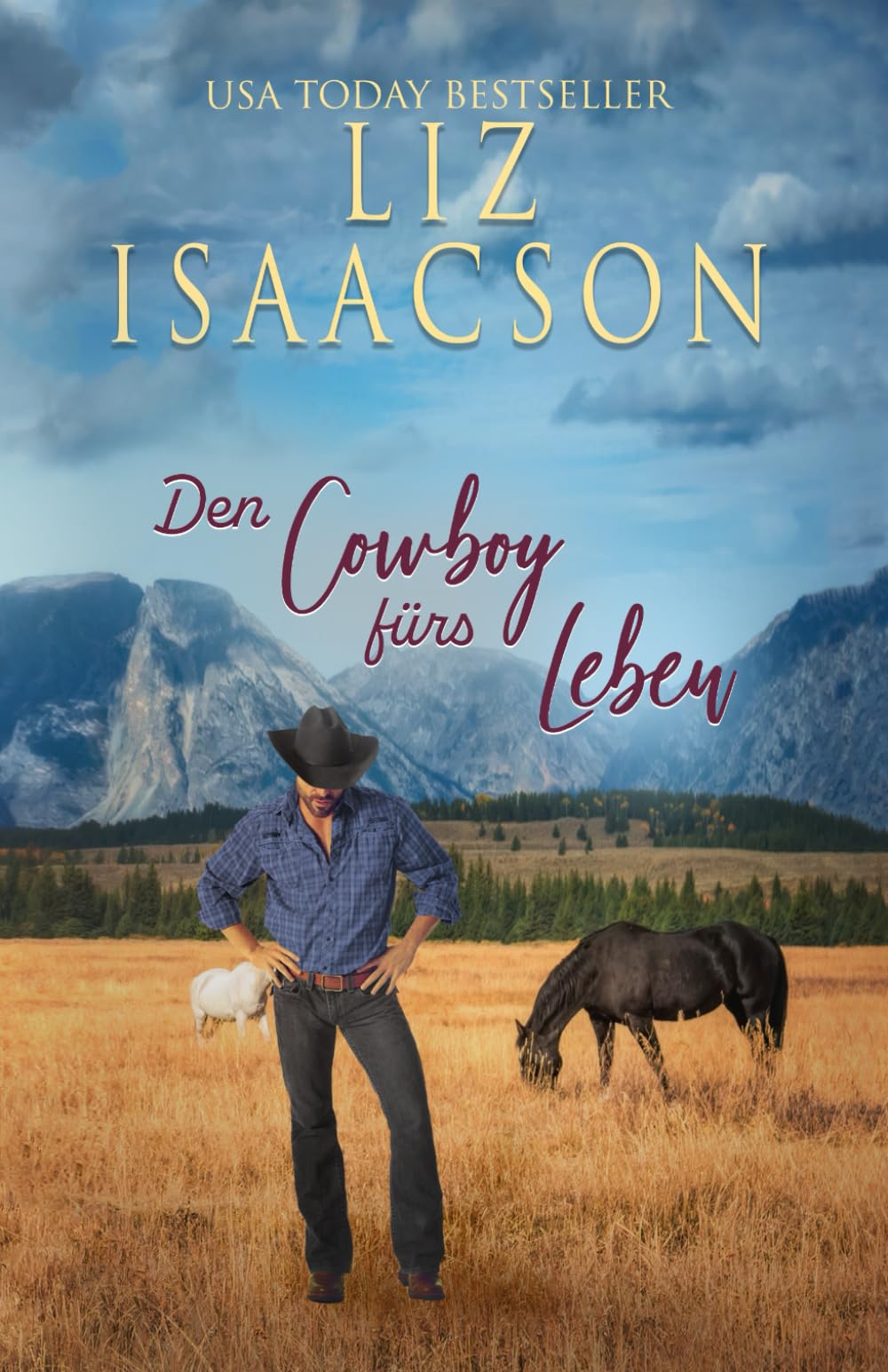 Den Cowboy fürs Leben: Cowboy-Liebesgeschichten aus dem Westen (Herzen im Hill Country)