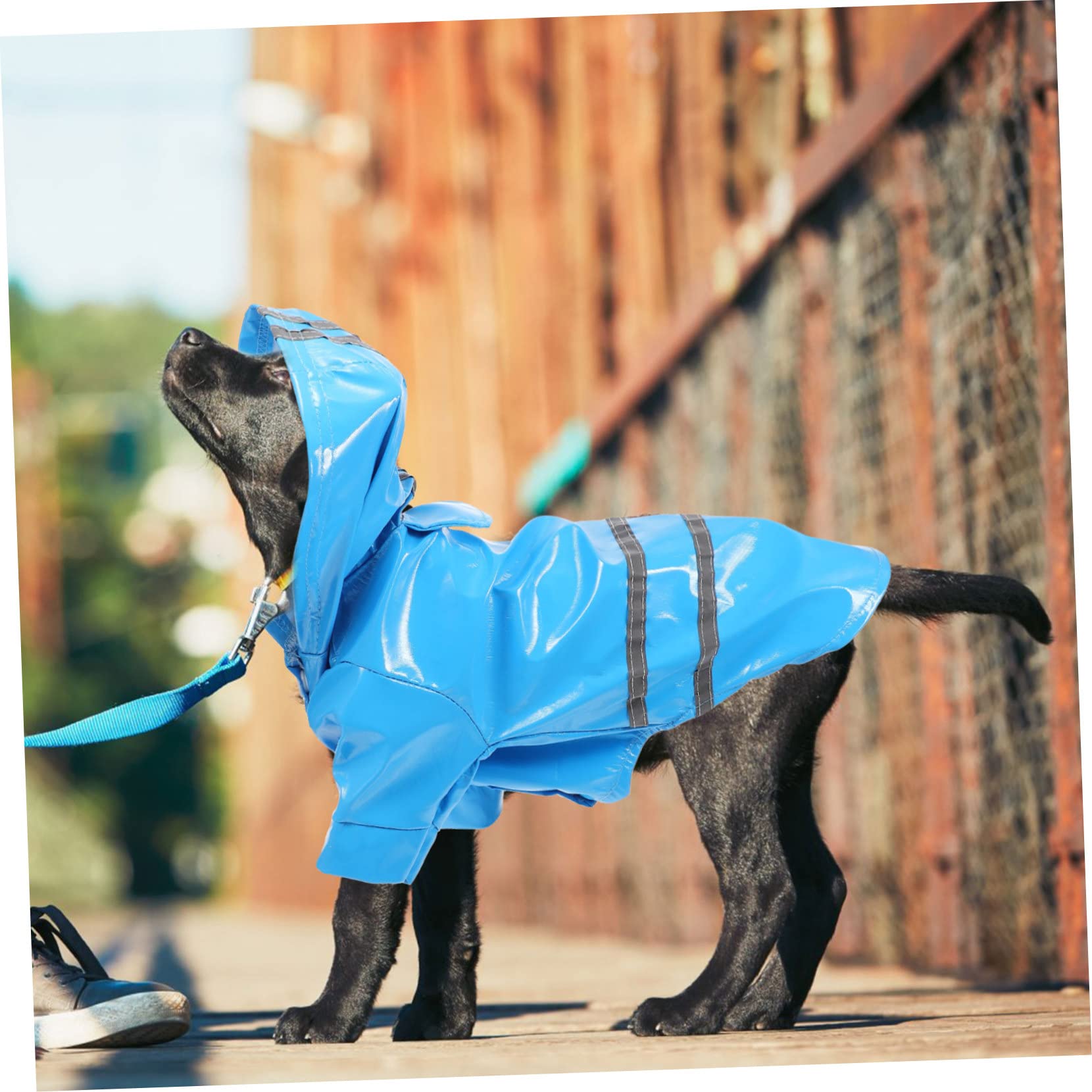 Manteaux de Pluie imperméables pour Chien, imperméable pour Chien, 4 pièces, imperméable pour Petit Chien, vêtements pour Chien, Veste de Pluie, imperméables po