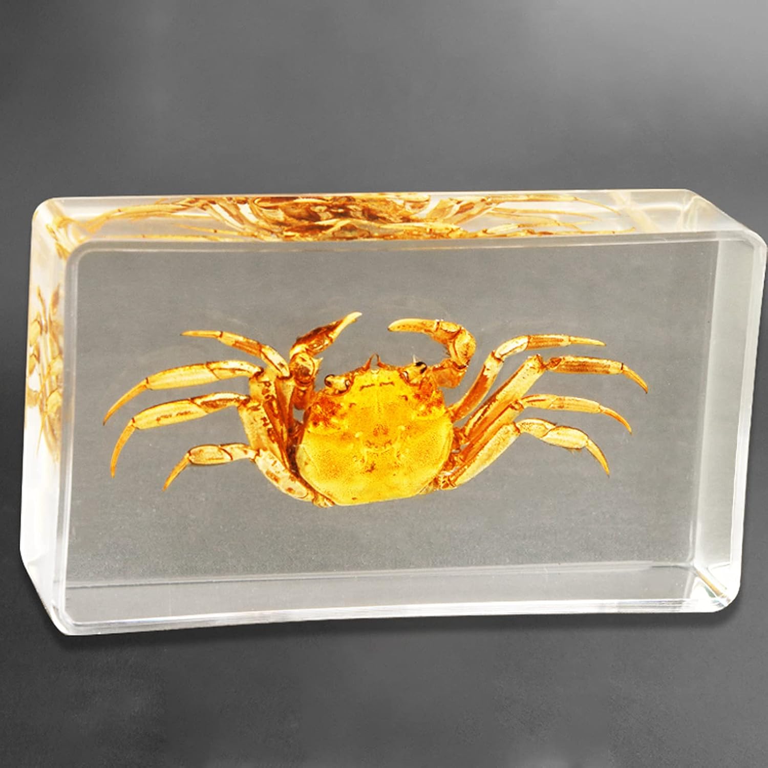 仏壇屋 滝田商店 本堂用椅子 Tr 350 座高35cm 巾42cm 寺院本堂の法事 法要 和室の催事 足腰や膝の悪い方に最適 定価の ｏｆｆ