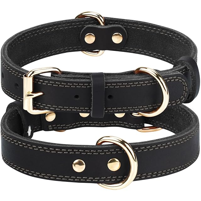 Joytale Collar Perro Cuero, Collar de Cuero para Perros medianos