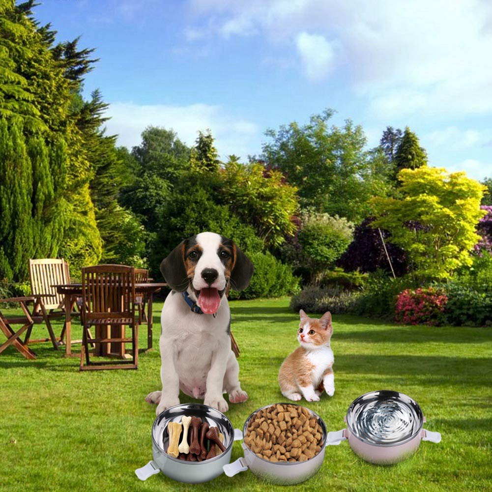 Gamelle de voyage portable en acier inoxydable à 4 niveaux pour animaux de compagnie