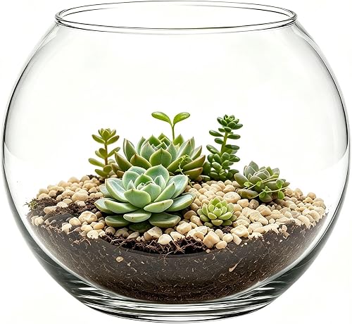 1 Pack Clear Glass Bubble Bowl Vase, Round Glass Candle Holder, Decorative Centerpiece Bowl for Weddings, Home Decor & DIY Projects